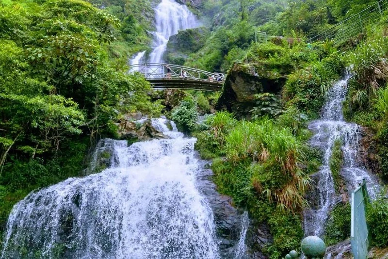 things to do in Tam Dao with kids_4