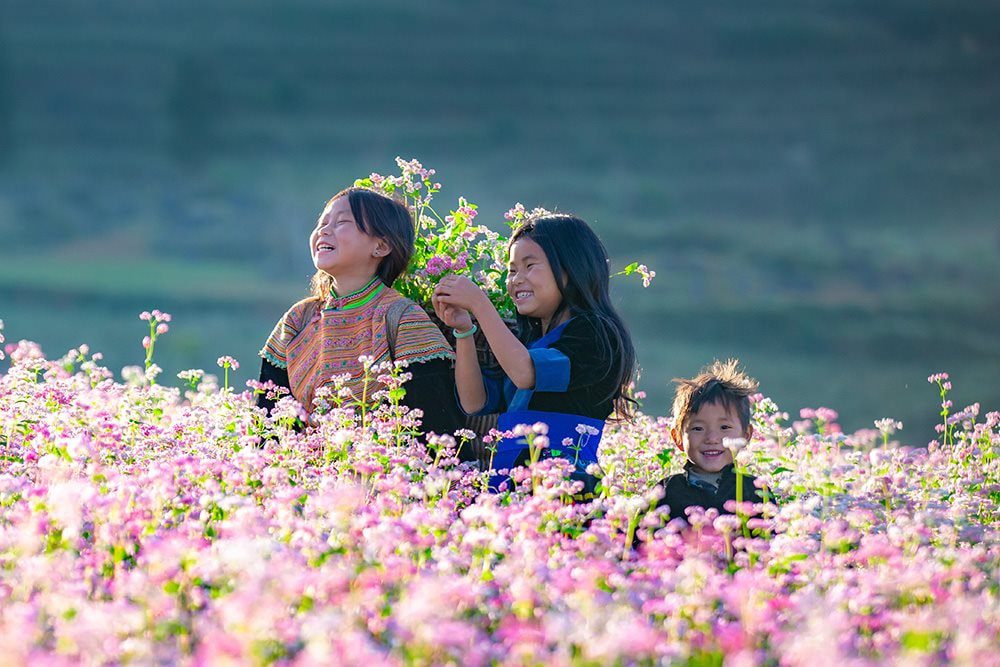 unique festivals in Vietnam_16