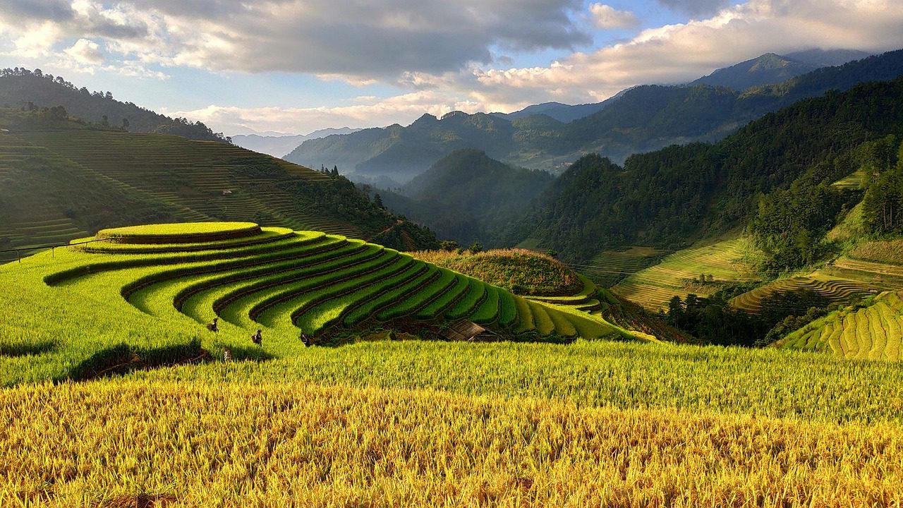 why travel to Vietnam_1