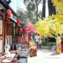 Vietnam festivals for travelers_thumb