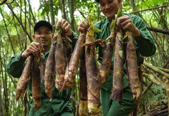 Vietnam outdoor food culture_thumb