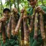 Vietnam outdoor food culture_thumb