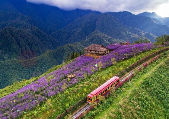 Vietnam travel legend_thumb