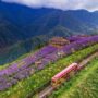 Vietnam travel legend_thumb