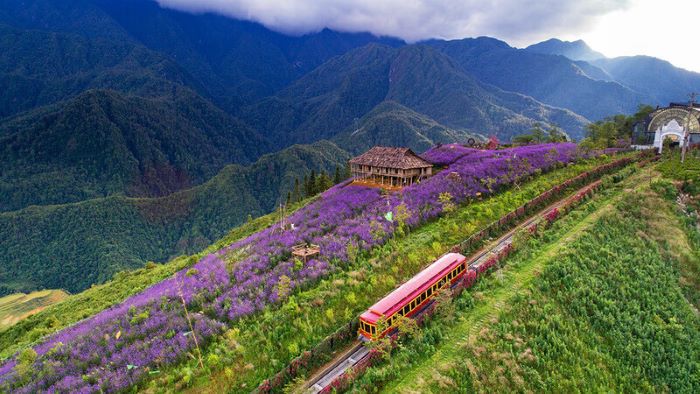 Vietnam travel legend_thumb