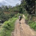 find local hiking trails_2