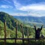 micro-adventure_thumb
