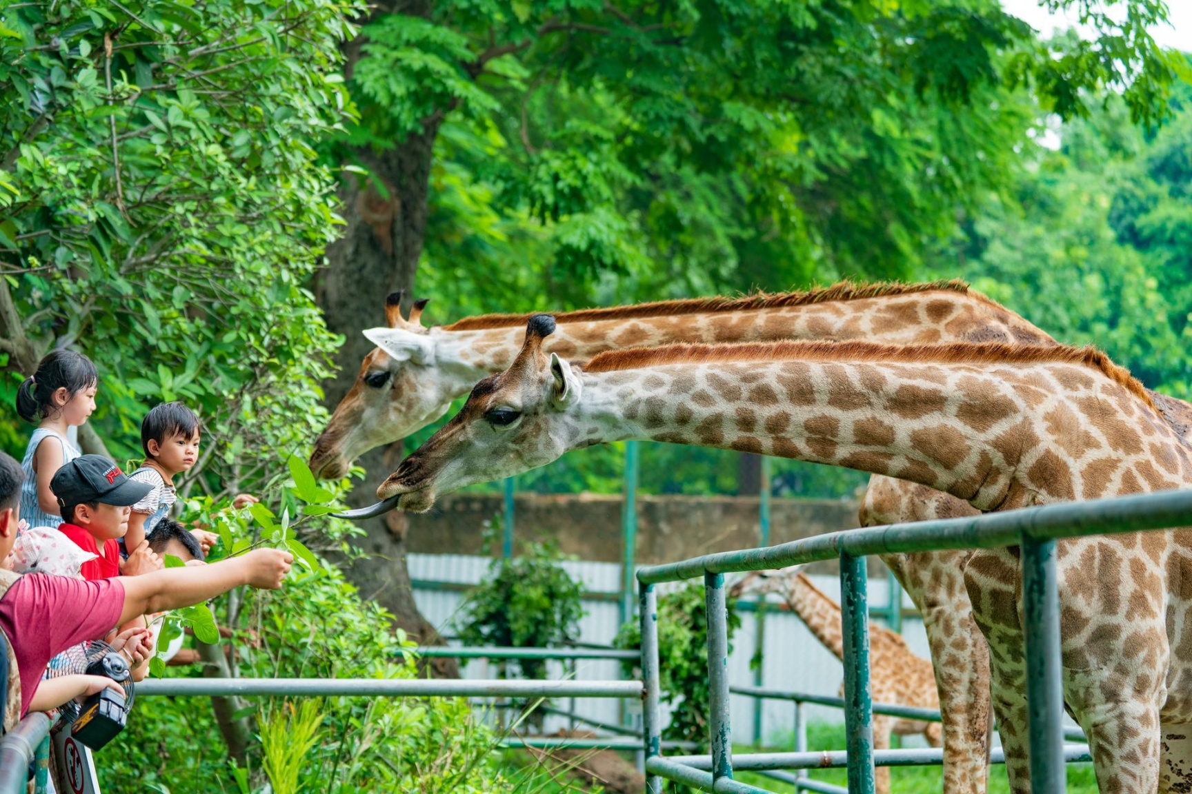 parks in Ho Chi Minh City_7