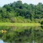 psychology of nature_thumb
