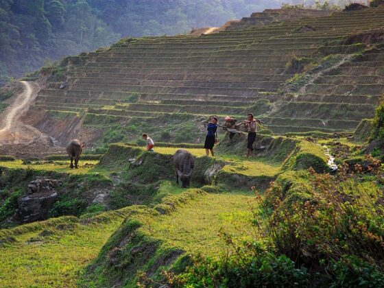 things to do in Sapa with kids_thumb