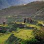 things to do in Sapa with kids_thumb