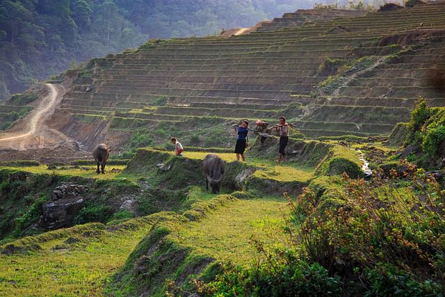 things to do in Sapa with kids_thumb