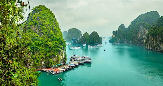 things to do on Cat Ba Island with kids_thumb