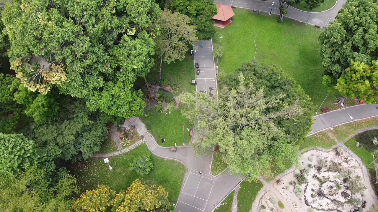 walking trails near Tao Dan Park_2