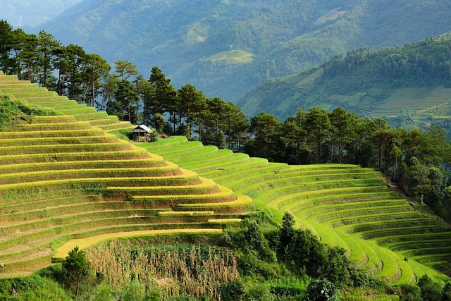 why is Vietnam a popular tourist destination_thumb
