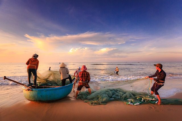 why is Vietnam a popular tourist destination_5