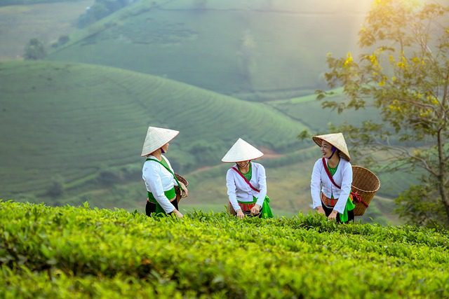 why is Vietnam a popular tourist destination_6