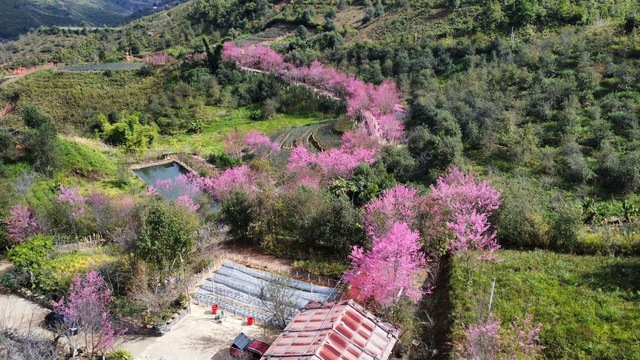 Mu Cang Chai ecotourism_4