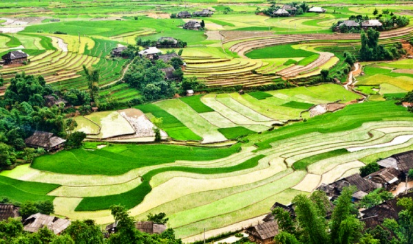 Mu Cang Chai ecotourism_5