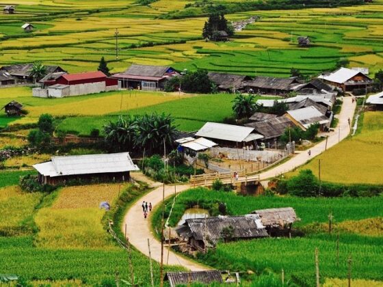Mu Cang Chai ecotourism_thumb