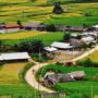 Mu Cang Chai ecotourism_thumb