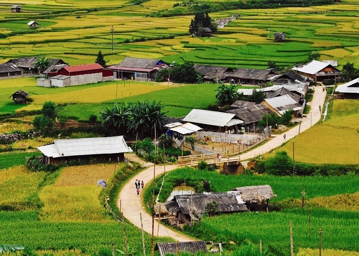 Mu Cang Chai ecotourism_thumb