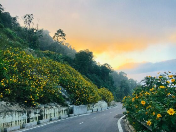 accessible nature trails in Vietnam_thumb