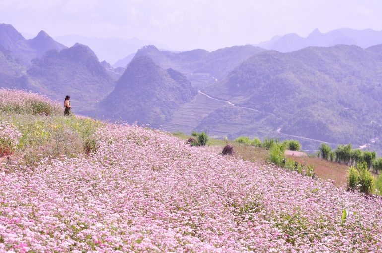 benefits of silence in nature_2