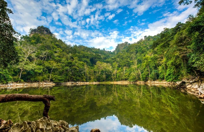 benefits of silence in nature_3