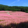 benefits of silence in nature_thumb