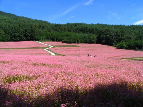 benefits of silence in nature_thumb