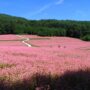 benefits of silence in nature_thumb