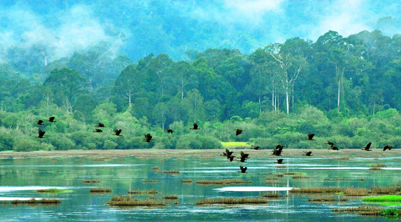 best national parks in Vietnam_2