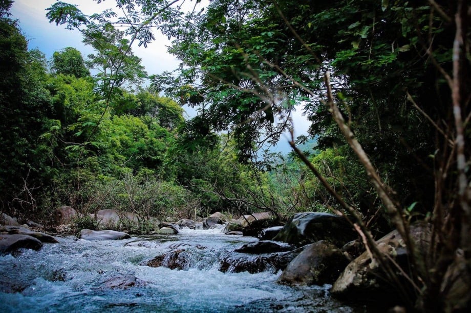 best national parks in Vietnam_5