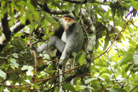 best national parks in Vietnam_8