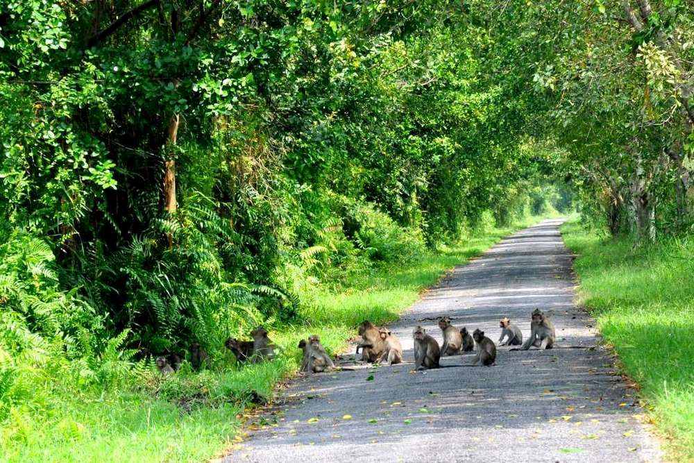best national parks in Vietnam_9