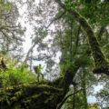 best national parks in Vietnam_thumb