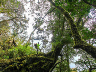 best national parks in Vietnam_thumb