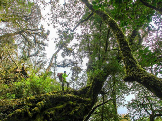 best national parks in Vietnam_thumb