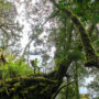 best national parks in Vietnam_thumb