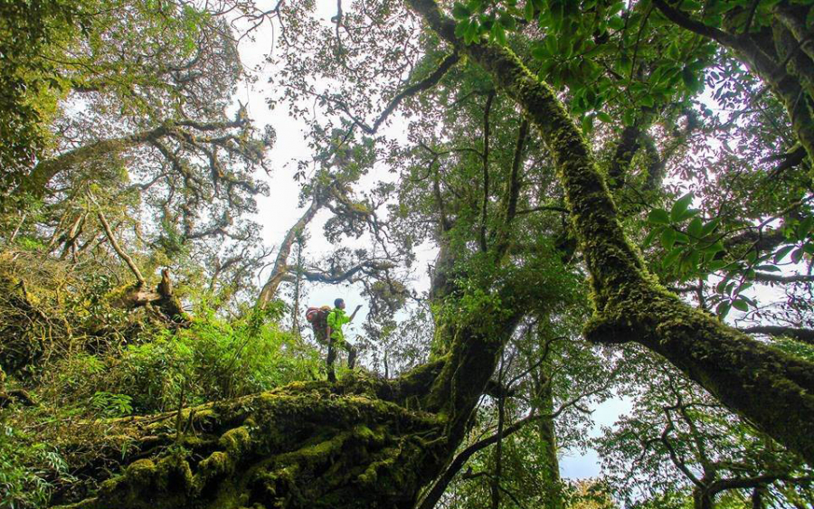 best national parks in Vietnam_thumb