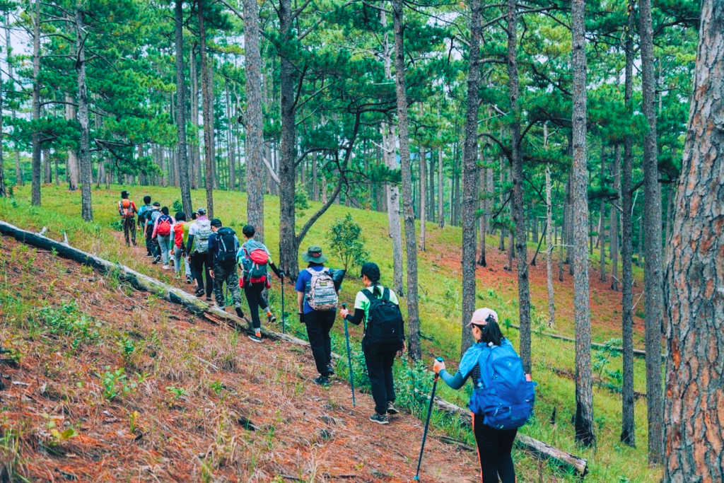 curated hiking trails_1