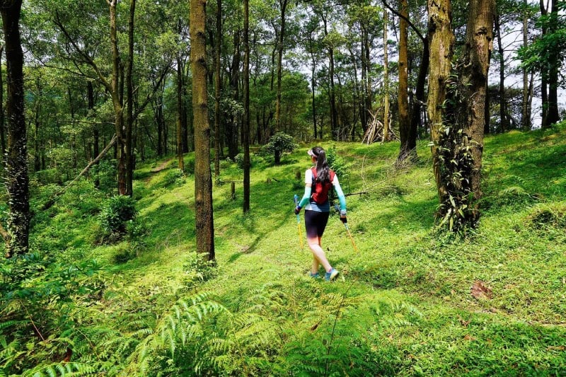 curated hiking trails_2