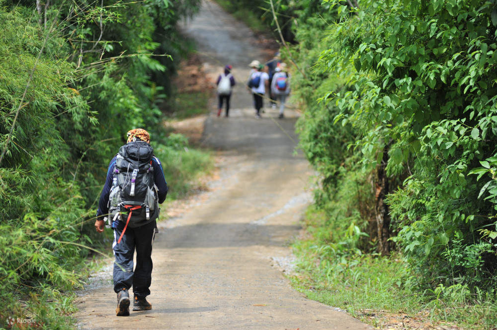 curated hiking trails_4
