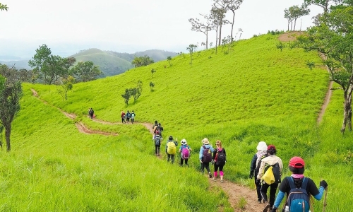 curated hiking trails_thumb