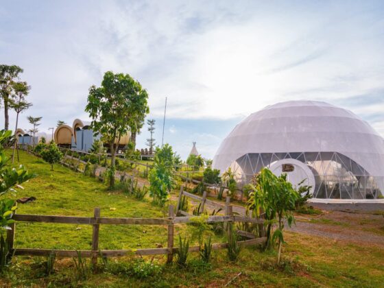 family glamping in Vietnam_thumb