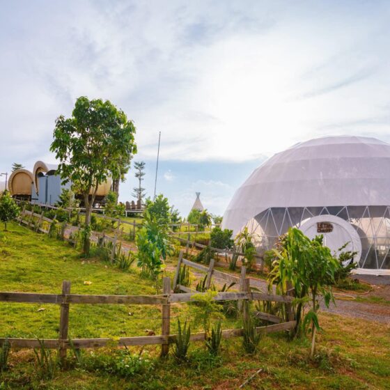 family glamping in Vietnam_thumb_glamping gia đình ở Việt Nam