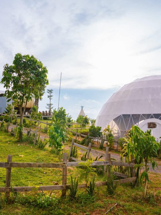 family glamping in Vietnam_thumb_glamping gia đình ở Việt Nam