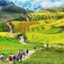 healing hikes in Vietnam_thumb