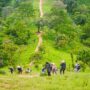 hiking for mental clarity_thumb